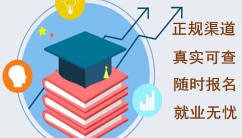 融合傳統與現代 有實力的中醫(yī)調理師證書與網絡技術咨詢服務